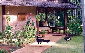 Atta Rainforest Lodge